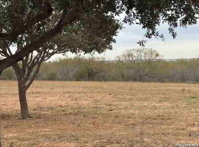 C.R 220 County Road 220, Floresville, TX 78114 - #2