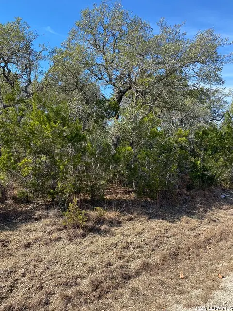 359 Moosehead, Spring Branch, TX 78070 - Image #2