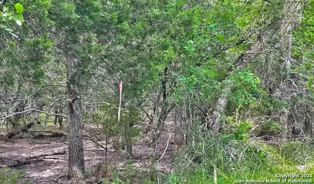 LOT 1&2 Cibolo Ln, Selma, TX 78108 - #3