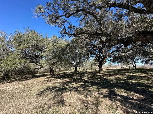 TBD Highway 181, Beeville, TX 78102 - Image #2