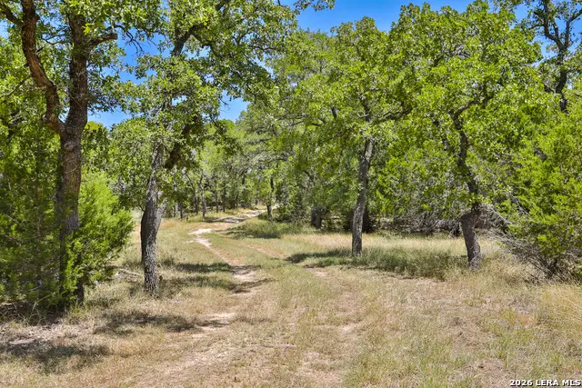 32539 Tierra Robles, Bulverde, TX 78163 - Image #2