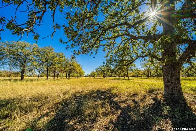 183 Teton Lane, Fredericksburg, TX 78624 - Image #3