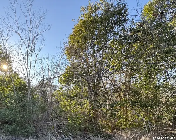 206 Dulce, San Antonio, TX 78228 - Image #2