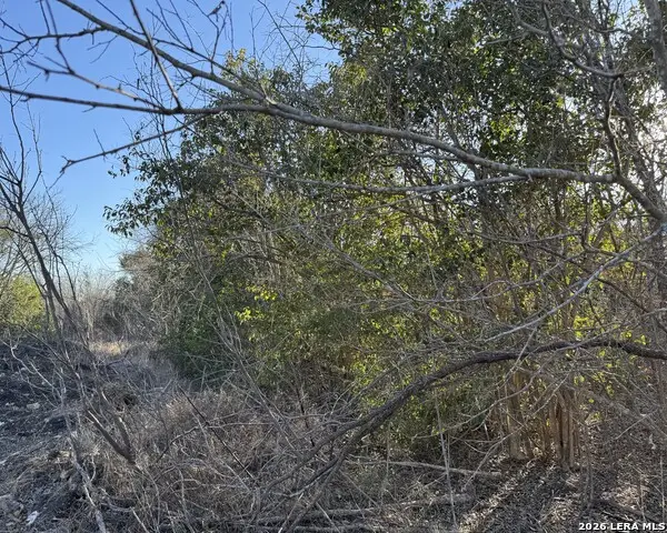 206 Dulce, San Antonio, TX 78228 - Image #3