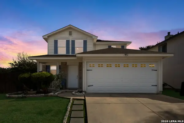 14306 Yellow Warbler, San Antonio, TX 78233