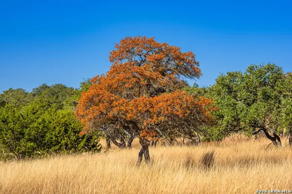 18 Legacy Oaks Drive, Harper, TX 78631