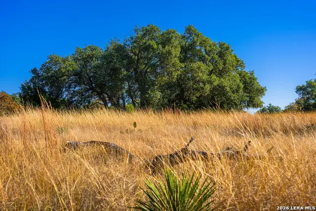 19 Legacy Oaks Drive, Harper, TX 78631 - #1