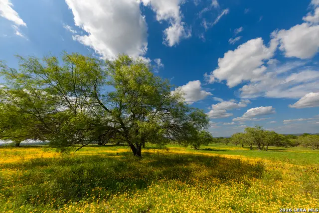 000 Clearwater Ranches 17, Comfort, TX 78013 - #2