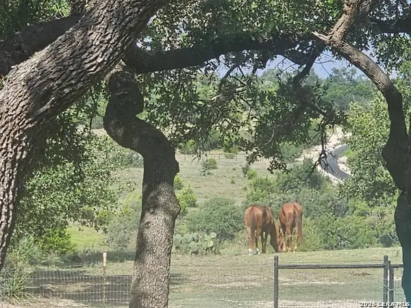 552 (LOT 2002) Rock Trail, Spring Branch, TX 78070