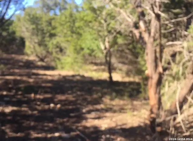 451 Stallion Estates, Spring Branch, TX 78070 - Image #2