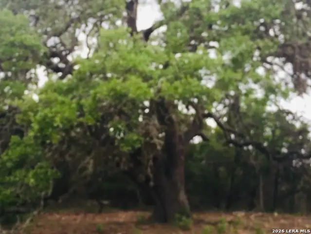 451 Stallion Estates, Spring Branch, TX 78070 - Image #3