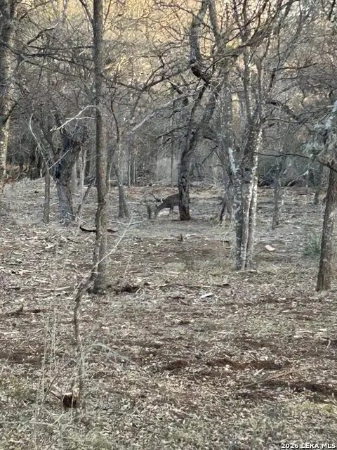 5610 Verbena St, San Antonio, TX 78240 - Image #3