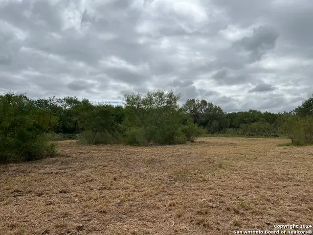 TBD S Hwy 281, Pleasanton, TX 78064 - #1