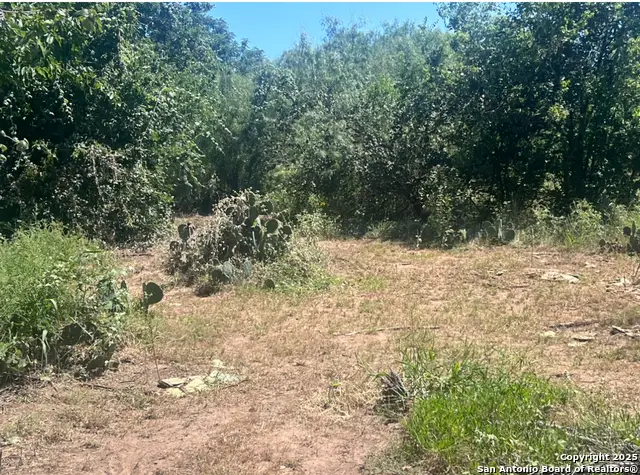 4810 S Loop 1604, Von Ormy, TX 78073 - #3