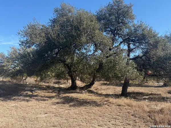 254 Jolie, Spring Branch, TX 78070