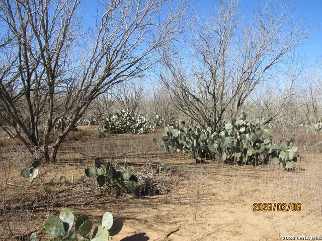 2662 County Road 307, Floresville, TX 78114 - #2