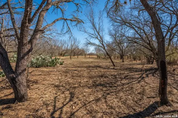 224 County Road 662, Devine, TX 78016