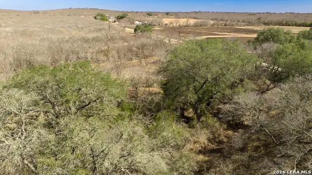 224 County Road 662, Devine, TX 78016 - #3