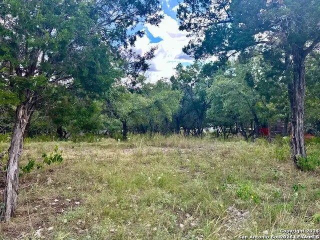 2210 Grandview, Canyon Lake, TX 78133 - Image #1