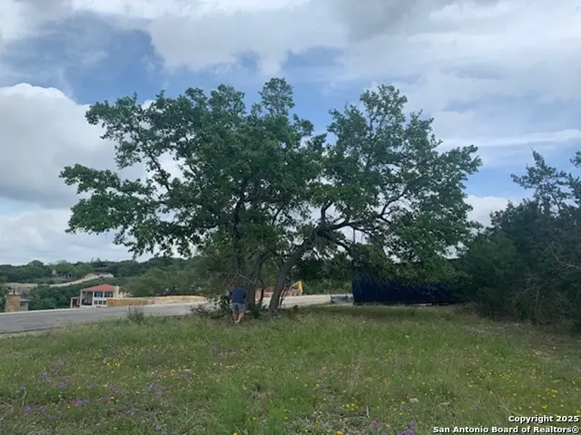 523 Oak Shores Dr, Canyon Lake, TX 78133 - #2