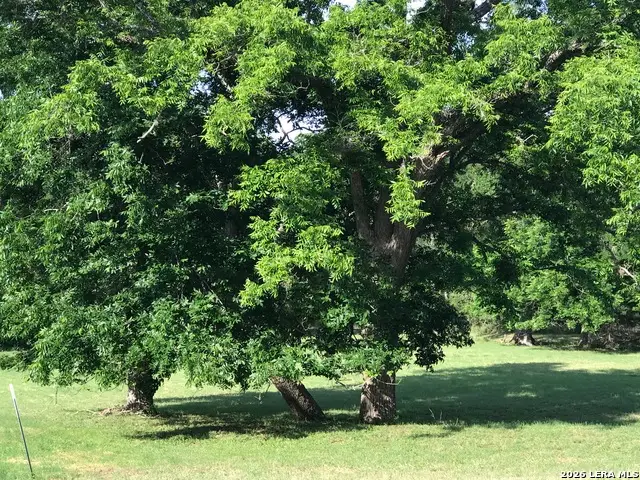 25522 Morhiss Point, Boerne, TX 78006 - #3