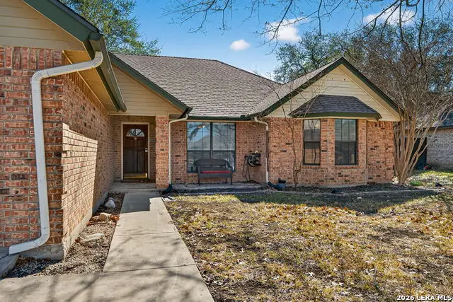 1911 Palace, New Braunfels, TX 78130 - #3