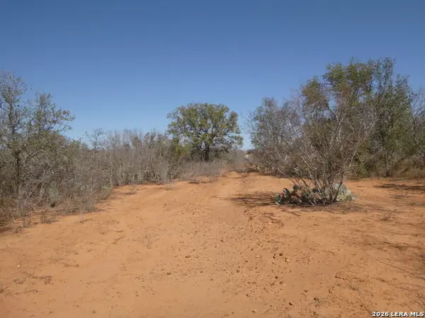 4253 E Fm 462, Moore, TX 78057