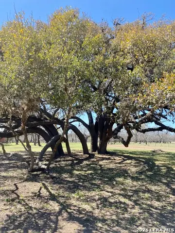 3311 N Texas Highway 55, Camp Wood, TX 78833 - #3