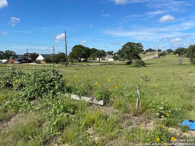 401 Shady Ln, La Vernia, TX 78121 - #3