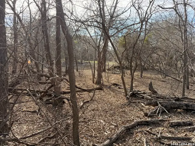 6463 Hollyhock, San Antonio, TX 78240 - #2