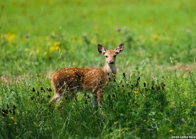 000 Clearwater Ranches 6, Comfort, TX 78013 - #1