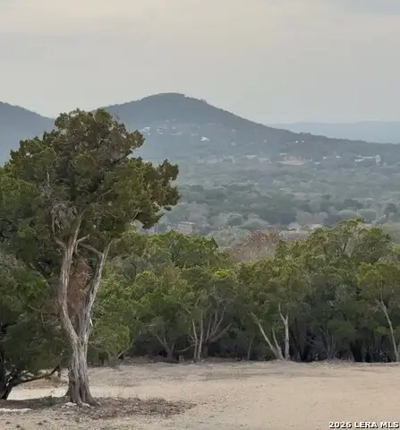 1455 Willow Springs, Pipe Creek, TX 78063 - #2