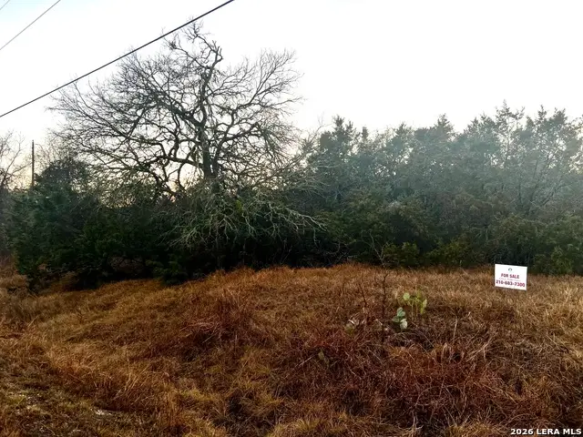 451 N Stallion Estates, Spring Branch, TX 78070 - #2