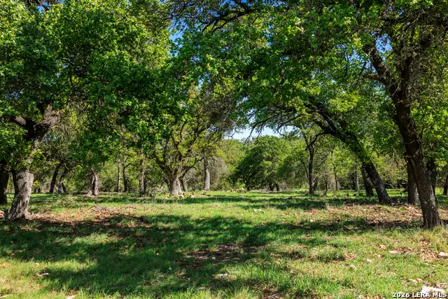 215 Dally, Fredericksburg, TX 78624 - #2