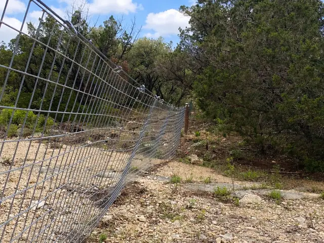 18553 & 18551 Bandera Rd., Helotes, TX 78023 - #3