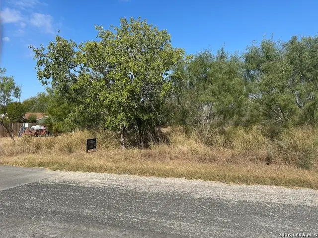 TBD Olive, Jourdanton, TX 78026 - #2