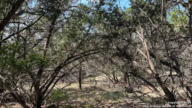 121 Agarita, Spring Branch, TX 78070 - #3