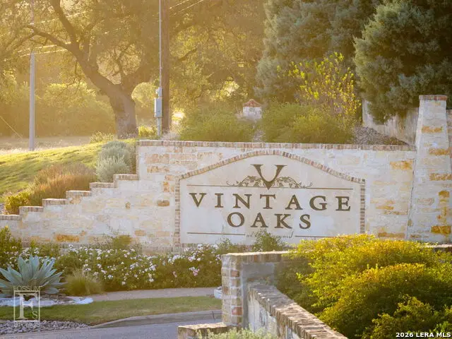 1228 Salt Lick, New Braunfels, TX 78132 - #2