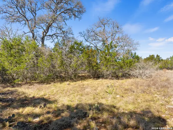 535 Left Fork Place, Spring Branch, TX 78070