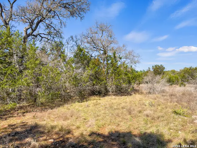 535 Left Fork Place, Spring Branch, TX 78070 - #2