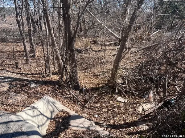 TBD Ess Rd, Atascosa, TX 78002