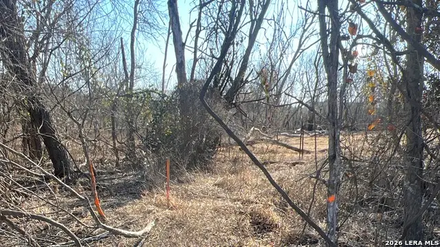 TBD Ess Rd, Atascosa, TX 78002 - #2