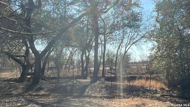 0 Ess Rd, Atascosa, TX 78002 - #3