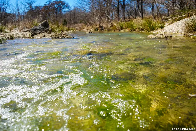 TR 11 Haley Lane, Medina, TX 78055 - #3