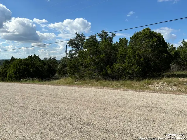 336 Lily, Spring Branch, TX 78070 - #2