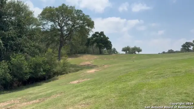 0 Kaukonahua Ln - Lot 650, Bastrop, TX 78602 - #3