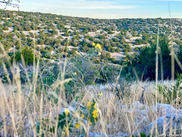 1213 Sd 42200, Rocksprings, TX 78880 - #1