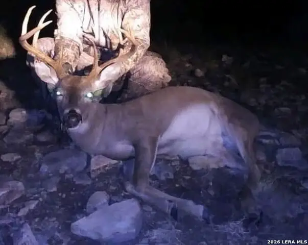 1213 Sd 42200, Rocksprings, TX 78880 - #2