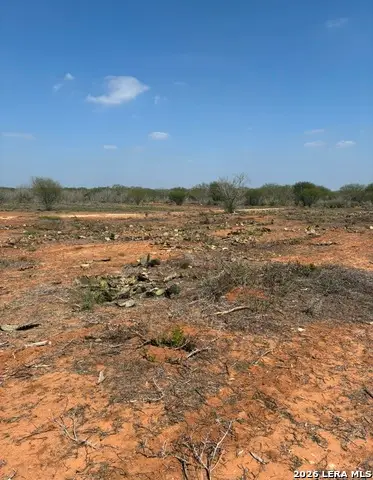 24 Cheyenne, Hebbronville, TX 78361 - #2