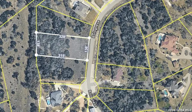 1526 Bolognese, New Braunfels, TX 78132 - #2